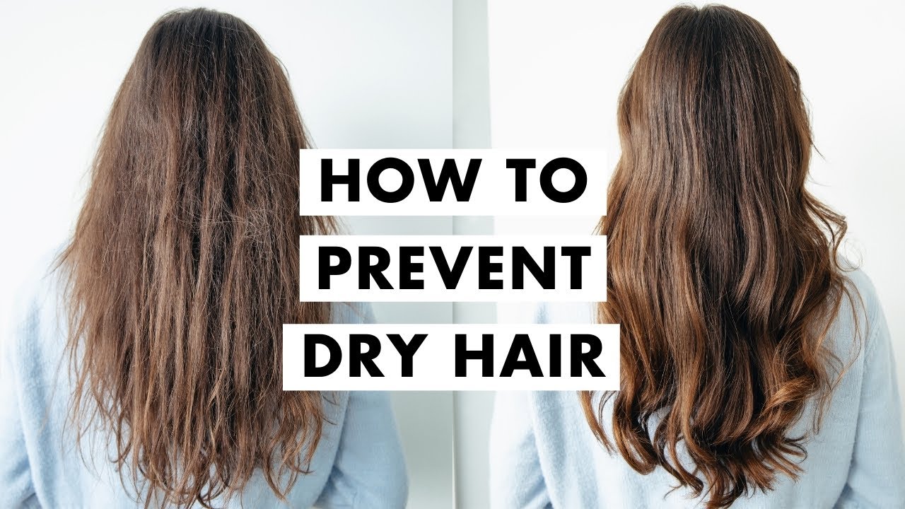 How To Fix Dry Hair Hair Tips 20 